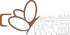 Logo Laser